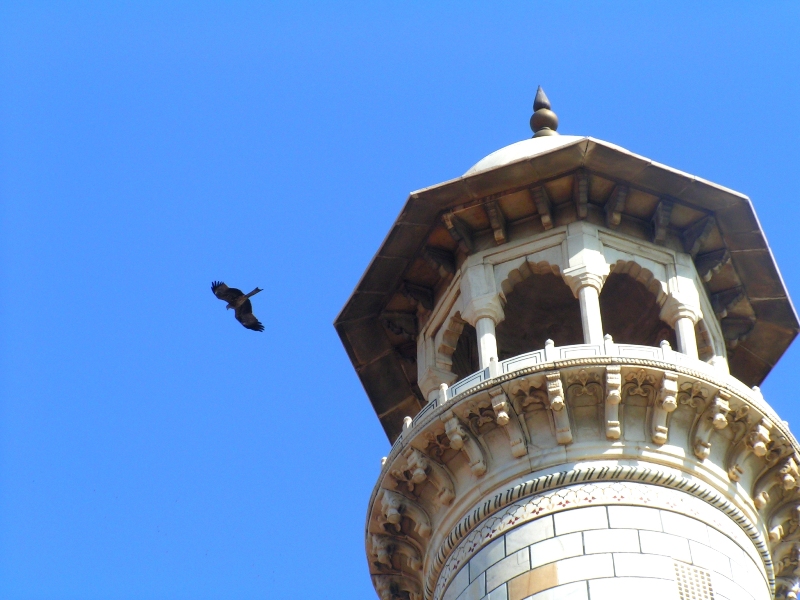 2008-09-24: Top of minaret