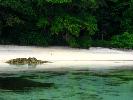 2008-12-05: Andaman Islands