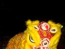 2009-01-29: Buddhist New Year: Lion