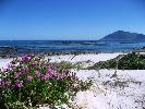 2009-10-21: Cape Peninsula
