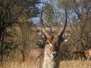 2009-10-03: Kruger National Park