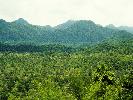 2012-08-04: Sai Yok National Park
