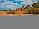 2012-02-04: Golden Outback